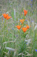 Foto: Roland Naundorf